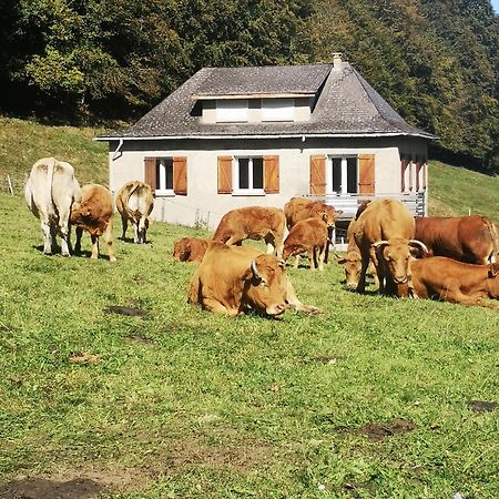 فيلا Tourmalet كامبان المظهر الخارجي الصورة